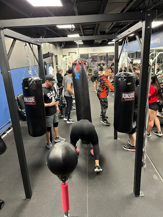 The Lift -N- Box Picture 8