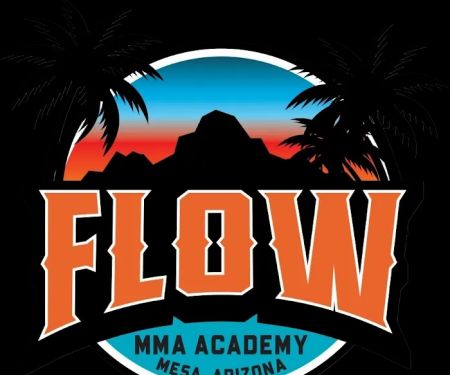 Flow MMA Academy