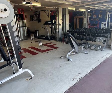 Hustle and Lift Fitness Private Training