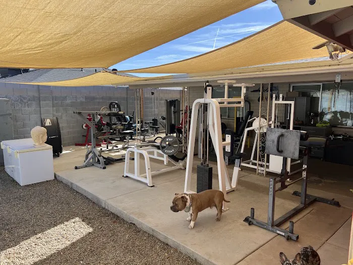 Hustle and Lift Fitness Private Training Picture 8