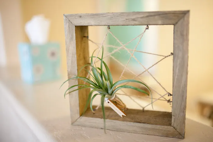 Function Pilates Picture 7