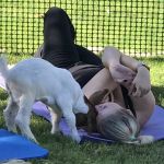 Baby Goat Yoga @ Mesquite Meadows