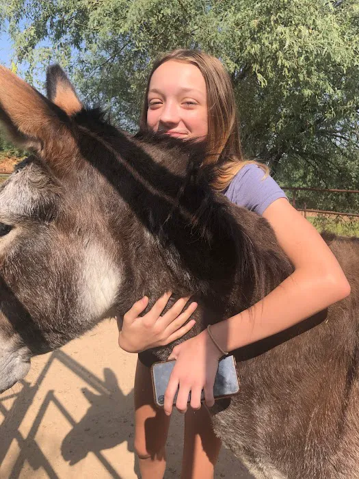 Baby Goat Yoga @ Mesquite Meadows Picture 5