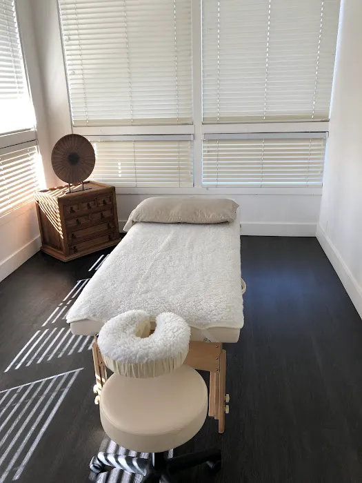 Bella Shanti Pilates & Yoga Picture 4