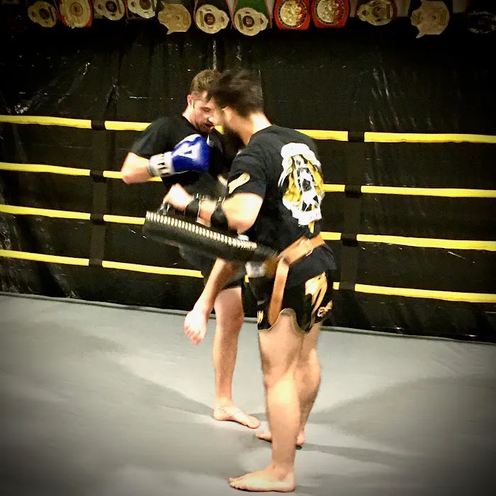 Golden Era Muay Thai Picture 3