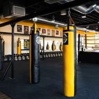 Golden Era Muay Thai ico