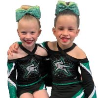 Cheerforce Arizona ico