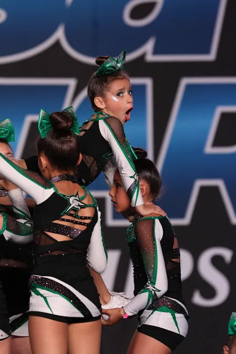 Cheerforce Arizona Picture 6