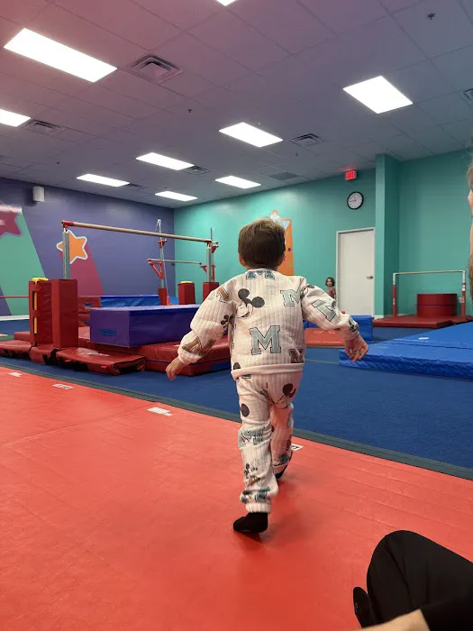 The Little Gym of Scottsdale Picture 3