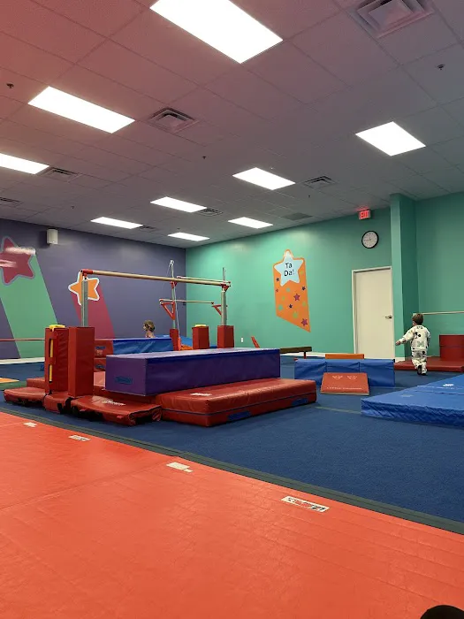 The Little Gym of Scottsdale Picture 2