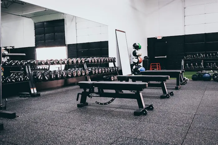 Glory Gains Picture 3