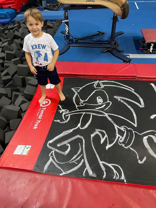 Rebound West Gymnastics Picture 4