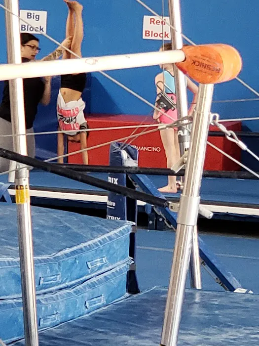 Rebound West Gymnastics Picture 8