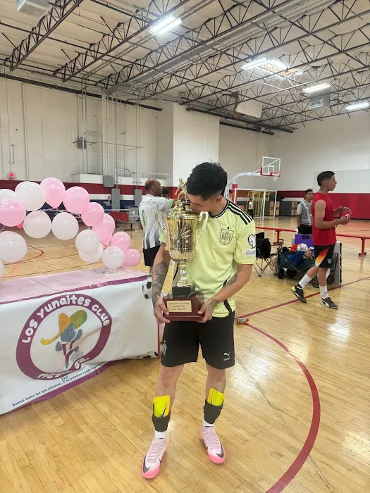 Inspire Courts AZ Picture 8