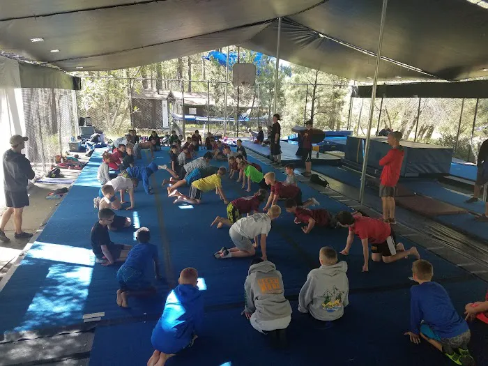 Pommel Horse Ranch Camp Picture 2