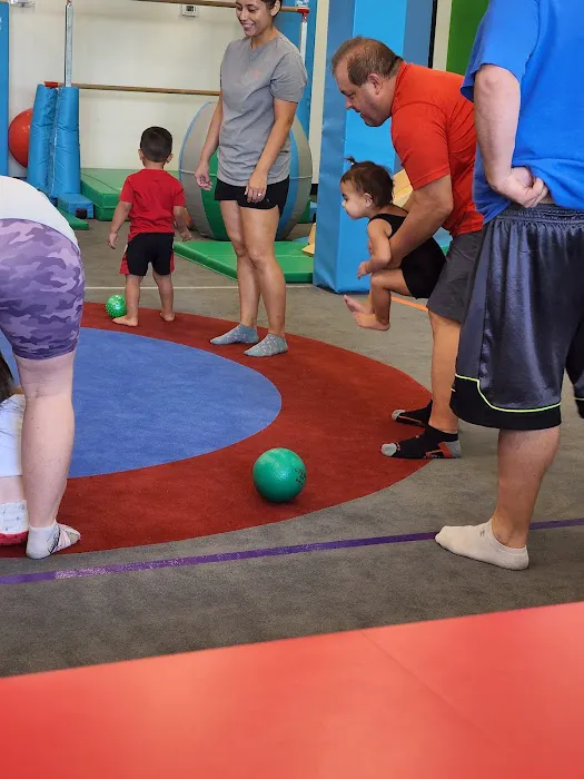 My Gym Children's Fitness Center Picture 2