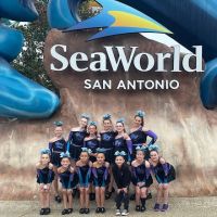 Royal Elite Productions ico