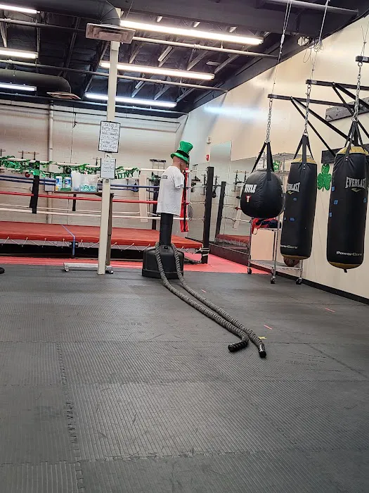 Rock Steady Boxing Mesa Picture 1