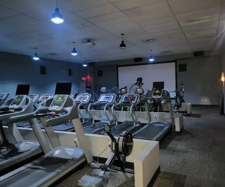TG The Gym (Mesa)
