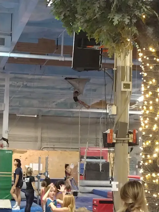 Desert Devils Gymnastics Picture 5