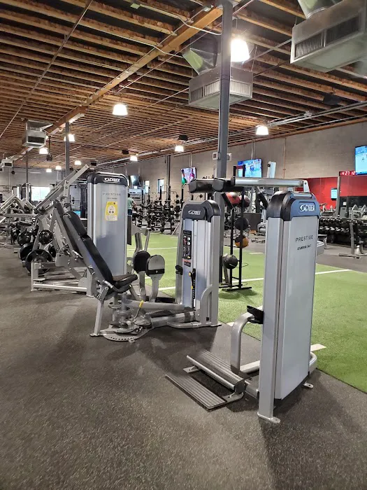 Elev8 Fitness Picture 2