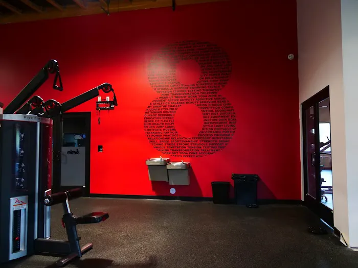 Elev8 Fitness Picture 1