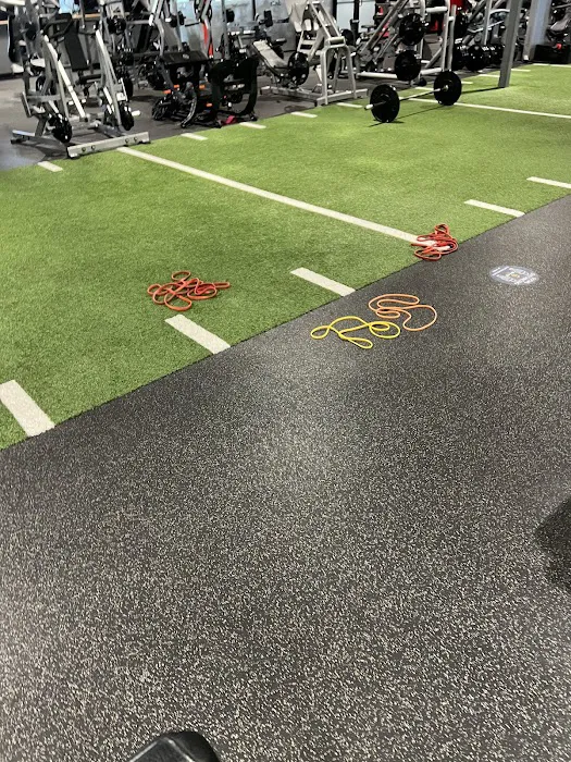 Elev8 Fitness Picture 9