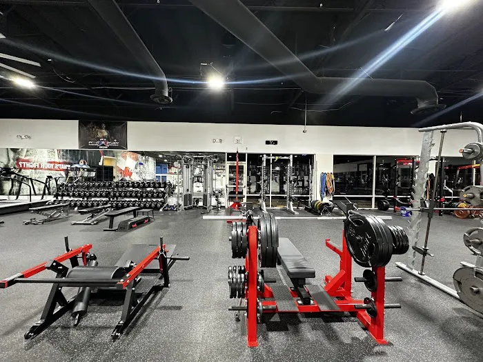 Fight Ready MMA Picture 1