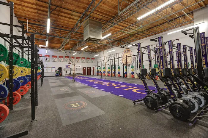 Majestic Fitness - Functional Strength & Conditioning Picture 2