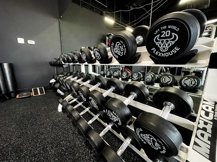 Flex House Gym Picture 8