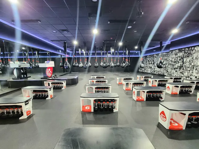 Rumble Boxing Picture 4