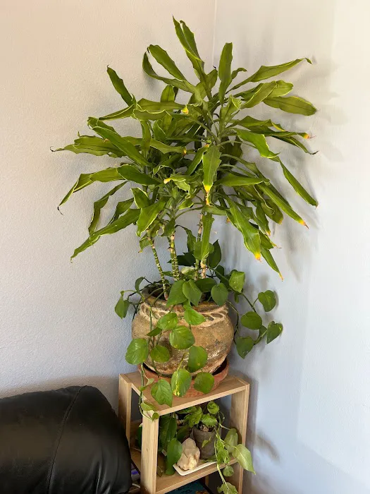 Gilbert Yoga Picture 6