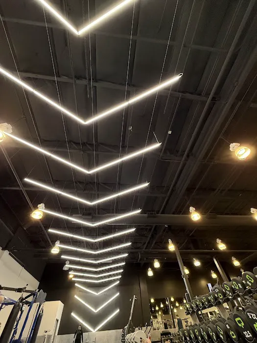 Physiq Fitness Picture 7