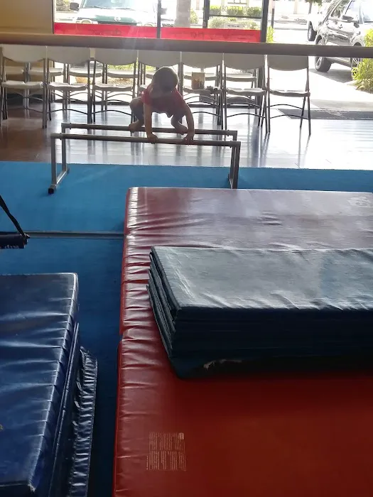 Ms Carol's Gymkids Picture 9