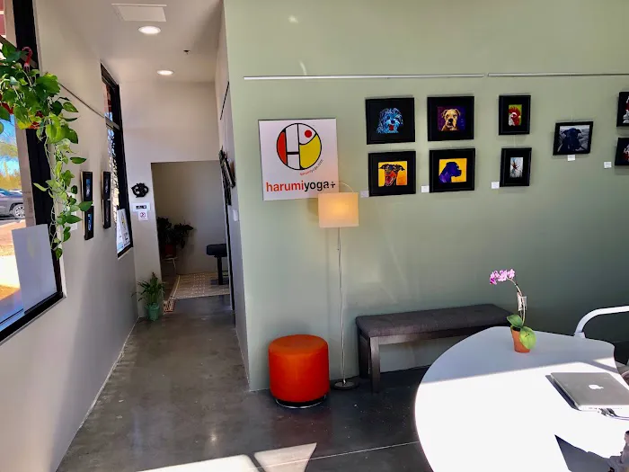 HarumiYoga+ Holistic Healing House and Meditation Center Scottsdale Picture 2