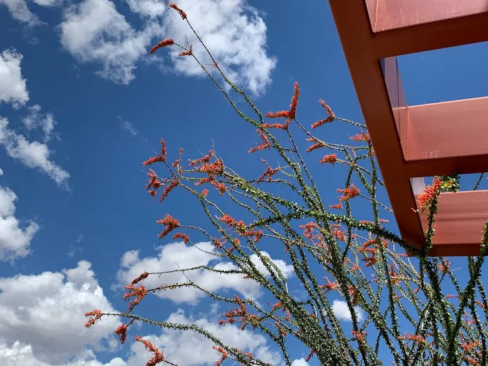 HarumiYoga+ Holistic Healing House and Meditation Center Scottsdale Picture 9