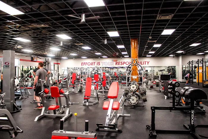 Mountainside Fitness Mesa Picture 6