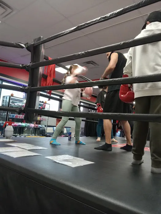 Knockout Fitness Mesa Picture 4