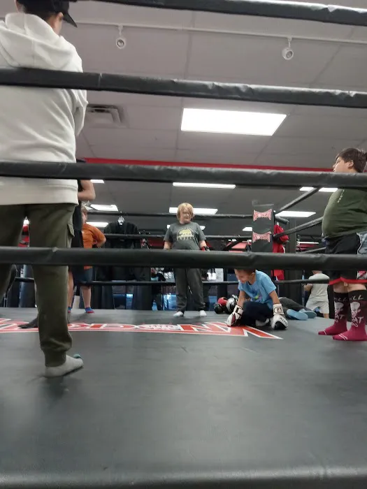 Knockout Fitness Mesa Picture 6