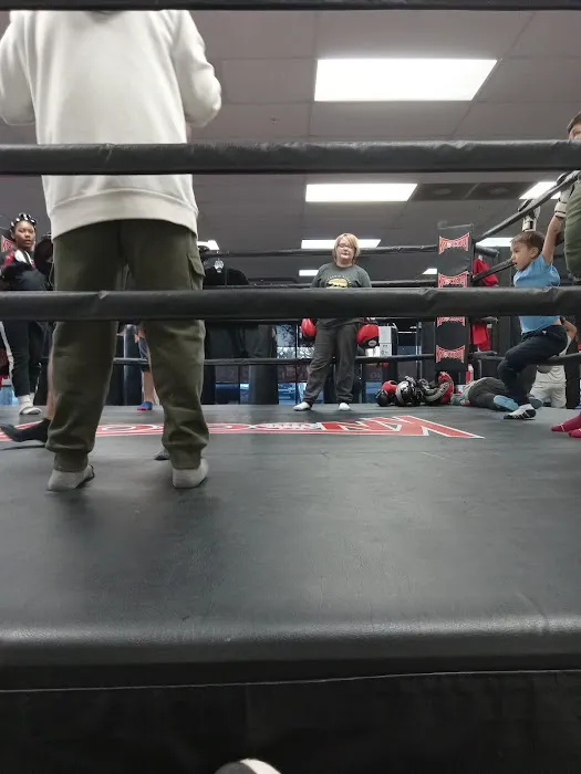 Knockout Fitness Mesa Picture 7