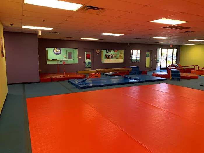 The Little Gym Picture 2