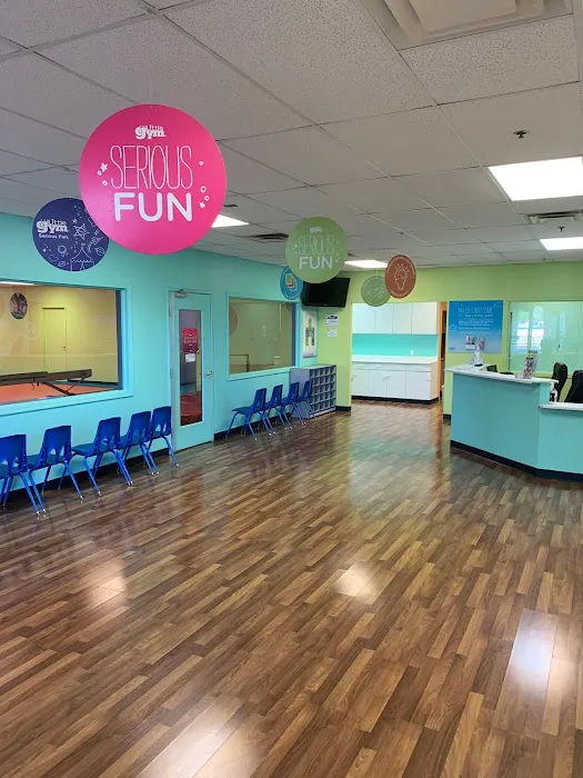 The Little Gym Picture 1