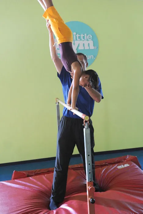 The Little Gym Picture 5