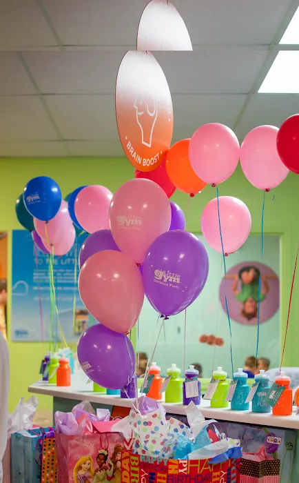 The Little Gym Picture 7