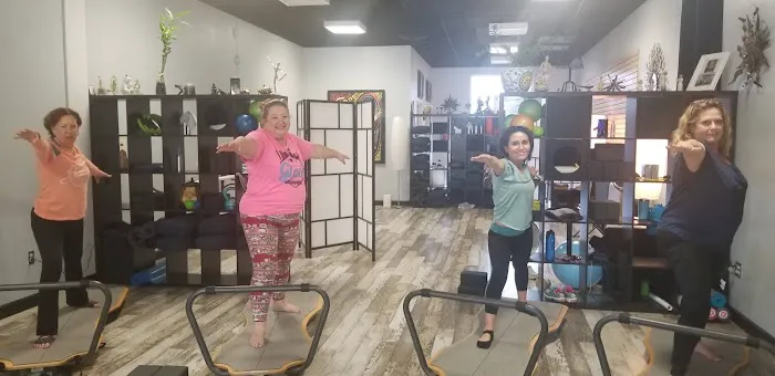 Cynshine® Pilates & Integrated Movement Picture 8