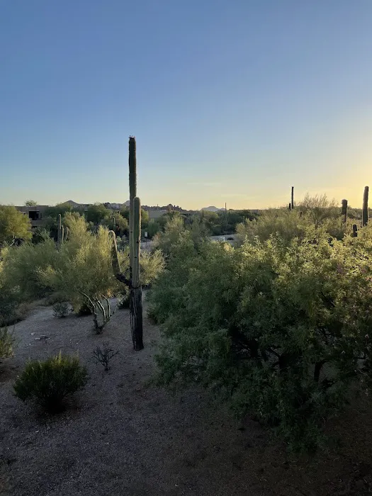 Nourish House Pilates Picture 6