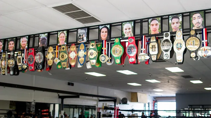 Dan's Gym Boxing, Muay Thai & Fitness Picture 3