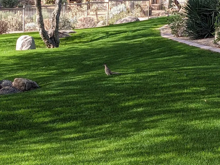 Las Sendas Spa and Fitness Center Picture 4