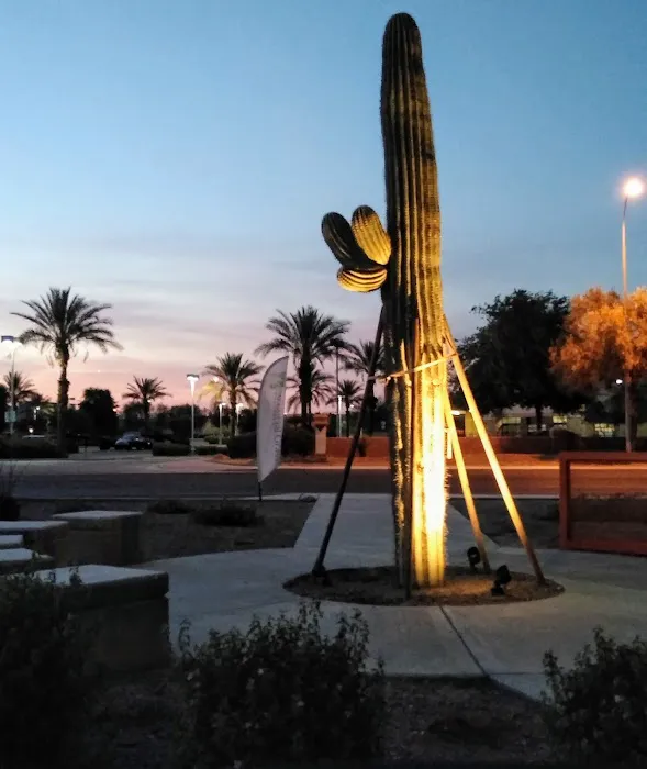 PickUp USA Fitness Chandler Picture 2