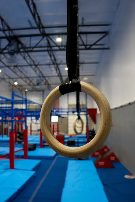 Conquer Ninja Gyms Chandler Picture 4